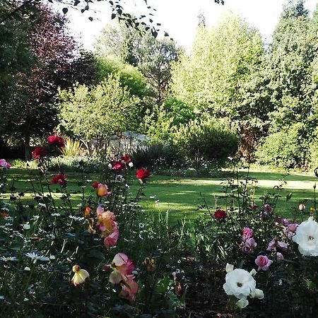 Treelands Estate Dullstroom Εξωτερικό φωτογραφία