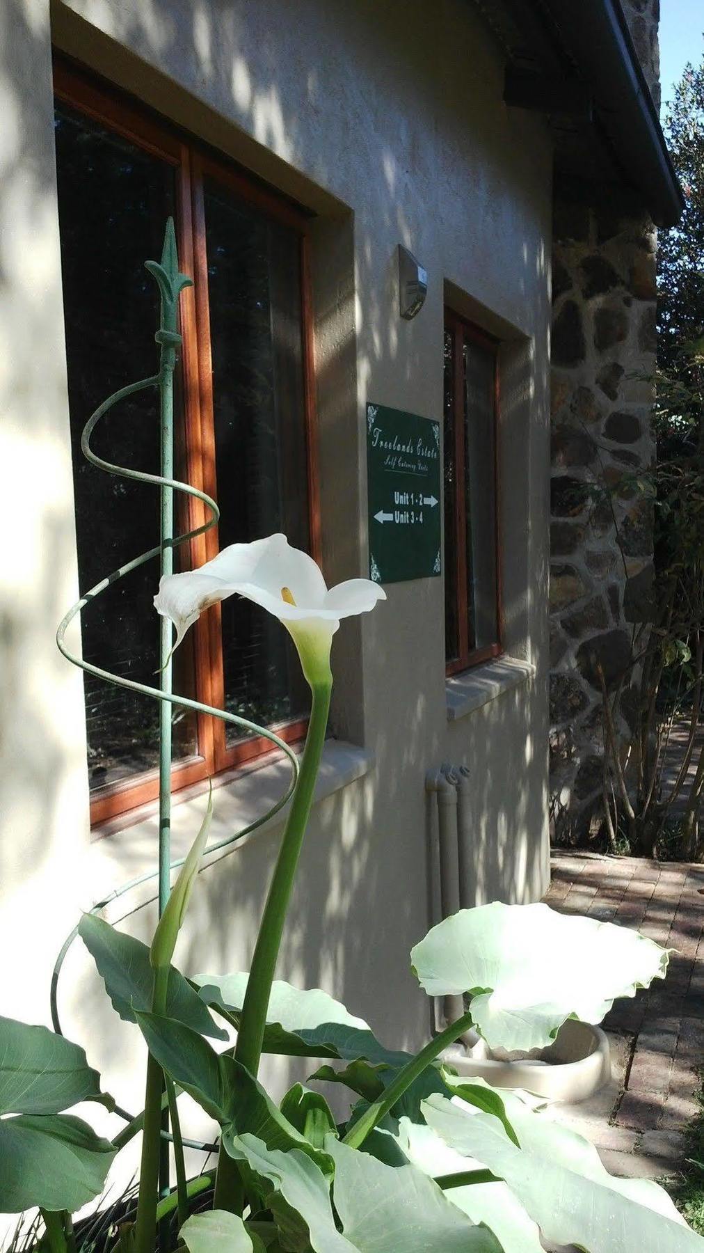 Treelands Estate Dullstroom Εξωτερικό φωτογραφία